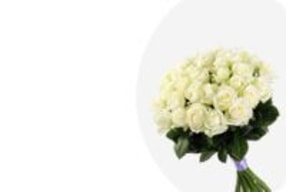 Blumen & Geschenke