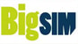 Bigsim