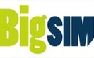 Bigsim