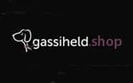 gassiheld.