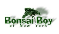 Bonsai Boy