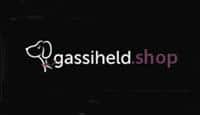 gassiheld.
