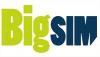 Bigsim