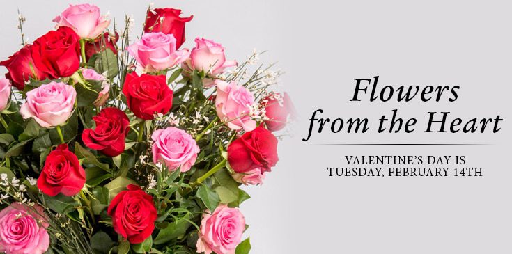 Image result for valentine flower