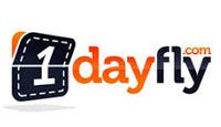 1DayFly