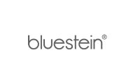 bluestein