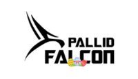 pallid-falcon-gutschein