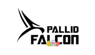 Pallid Falcon