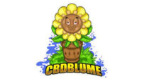 CBD Blume