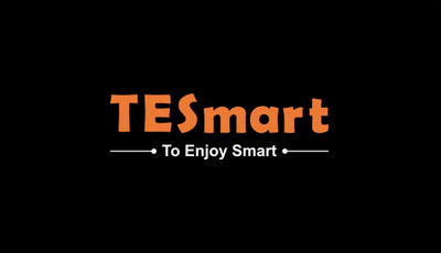 TESmart
