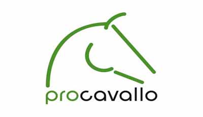 Procavallo