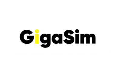 Gigasim